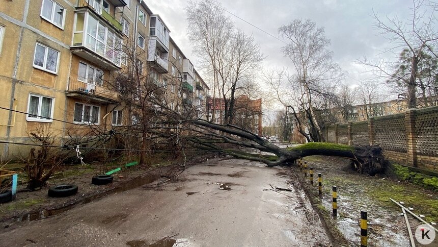 Происшествие в феврале 2022 года | Фото: Александр Подгорчук / Архив «Клопс»