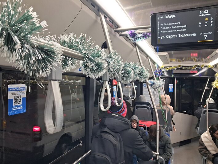 Новогоднее настроение на рельсах: в Калининграде вышли трамваи со Снегурочкой (фото, видео) - Новости Калининграда | Фото читателей