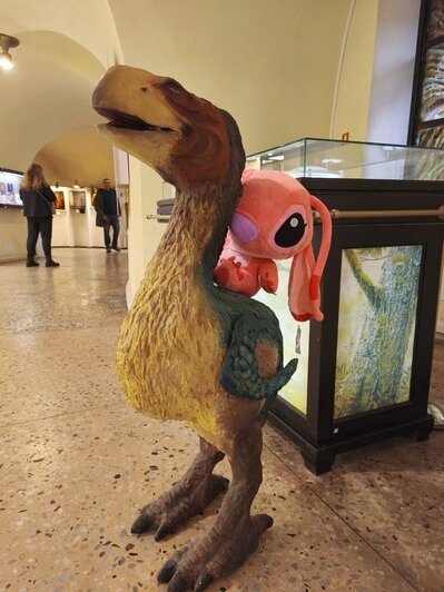 В Калининграде плюшевые потеряшки устраивают фотосессии и попадают в витрины музея (фото, видео)   - Новости Калининграда | Фото: Музей янтаря