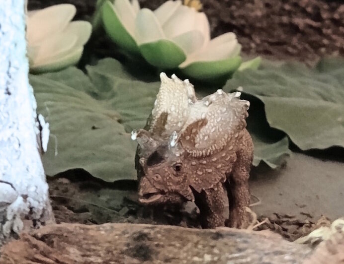 В Калининграде плюшевые потеряшки устраивают фотосессии и попадают в витрины музея (фото, видео)   - Новости Калининграда | Фото: Музей янтаря