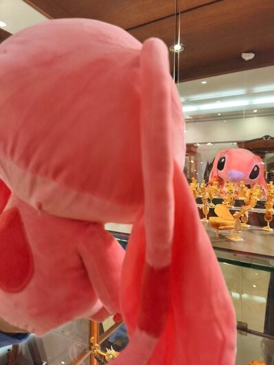 В Калининграде плюшевые потеряшки устраивают фотосессии и попадают в витрины музея (фото, видео)   - Новости Калининграда | Фото: Музей янтаря