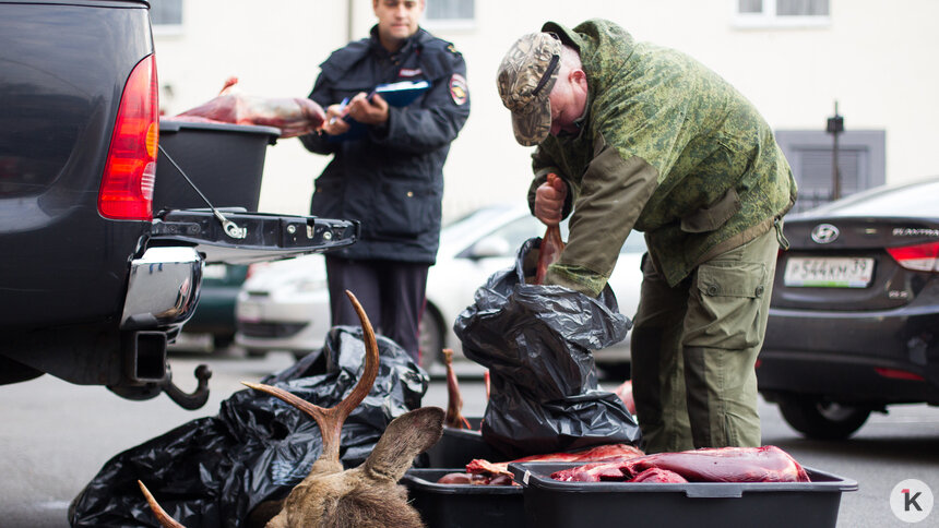 На Виштынце браконьеры сменили ружья на арбалеты — Калина - Новости Калининграда | Фото: Александр Подгорчук / Архив «Клопс»