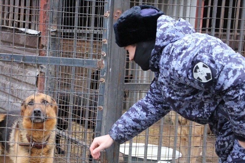 Росгвардейцы приехали помочь волонтёрам в гурьевском центре реабилитации бездомных животных «Славянское» (фото, видео)  - Новости Калининграда | Фото: Росгвардия Калининградской области 