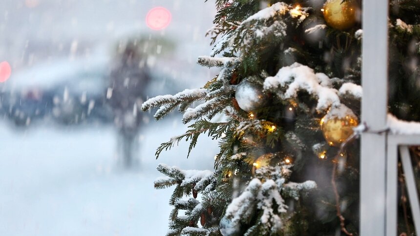 Дед Мороз ждёт: где и когда в Калининграде пройдут праздничные гуляния  - Новости Калининграда | Фото: архив «Клопс»