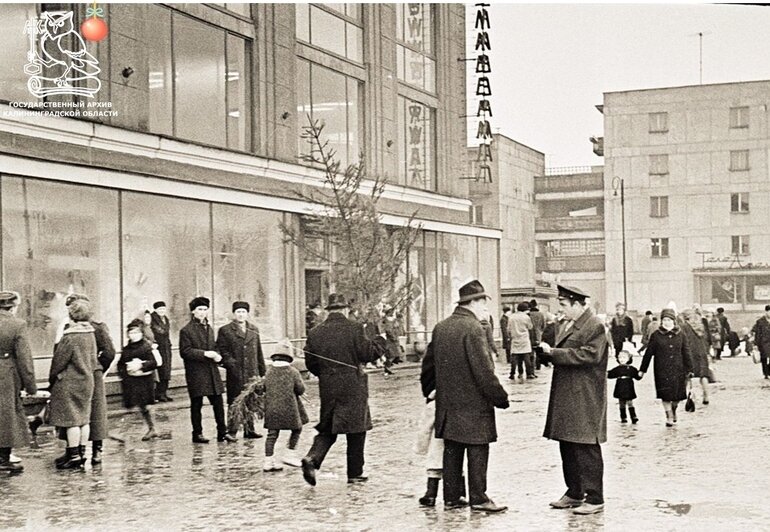 В госархиве показали, как выглядел предновогодний Калининград в 1966 году - Новости Калининграда | Фото: госархив