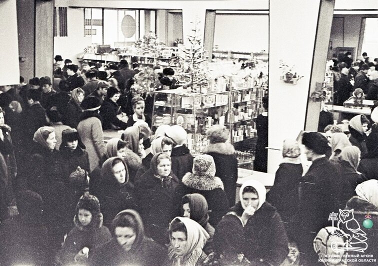 В госархиве показали, как выглядел предновогодний Калининград в 1966 году - Новости Калининграда | Фото: госархив