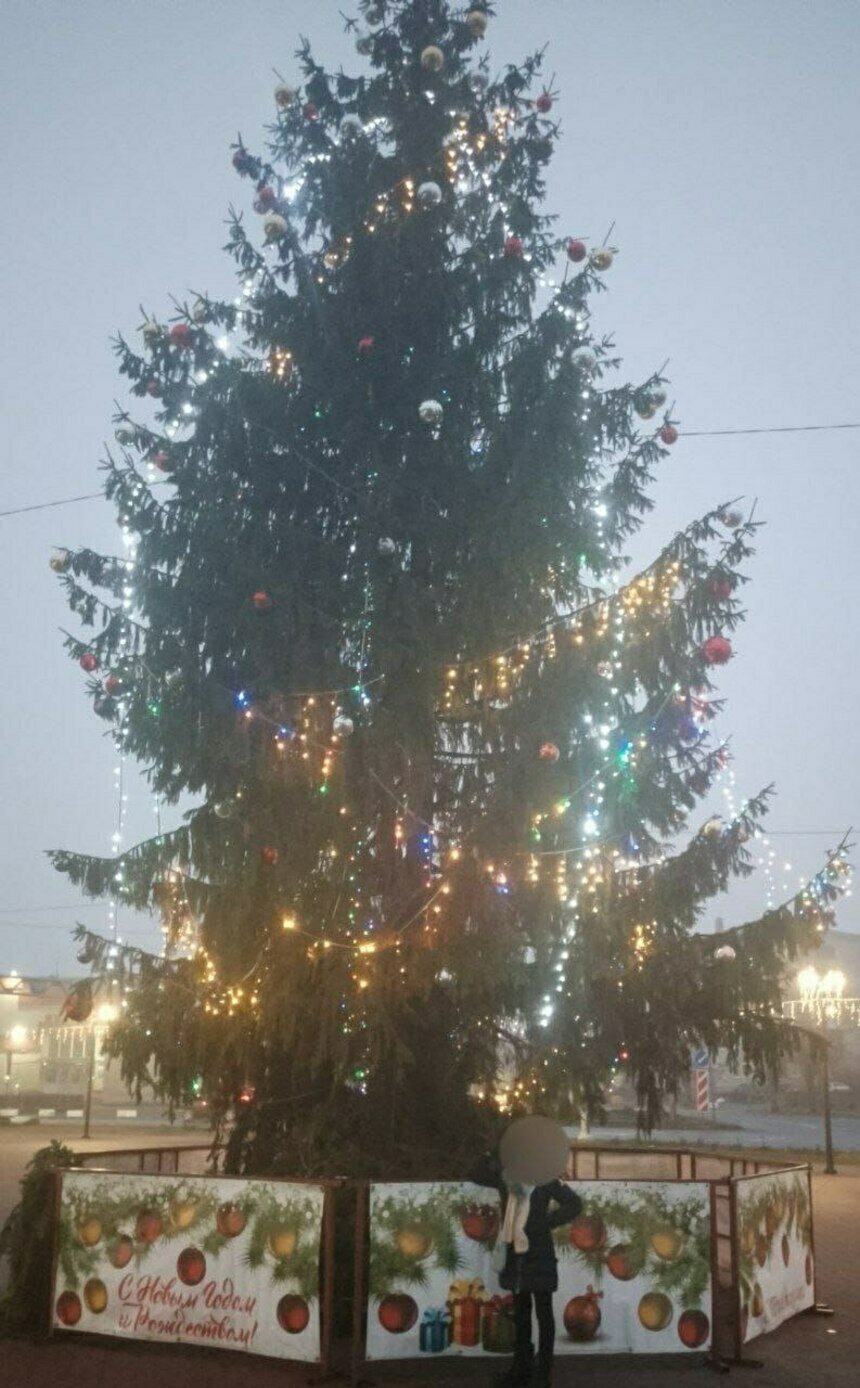 В Нестерове совсем не рады небогатому убранству новогодней елки. | Фото пользователей соцсетей.