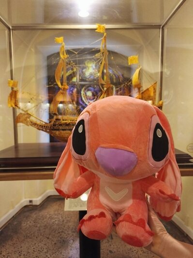 В Калининграде плюшевые потеряшки устраивают фотосессии и попадают в витрины музея (фото, видео)   - Новости Калининграда | Фото: Музей янтаря