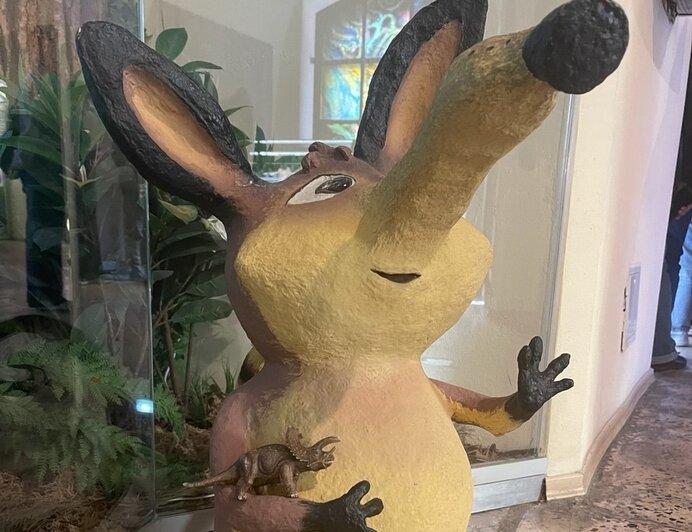 В Калининграде плюшевые потеряшки устраивают фотосессии и попадают в витрины музея (фото, видео)   - Новости Калининграда | Фото: Музей янтаря