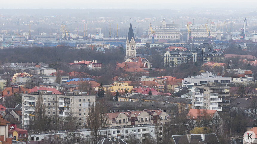 «Планета Океан» и троллейбусы: Калининград прибавил 8 пунктов в рейтинге развития российских регионов в 2025 году   - Новости Калининграда | Фото: Александр Подгорчук / Архив «Клопс»