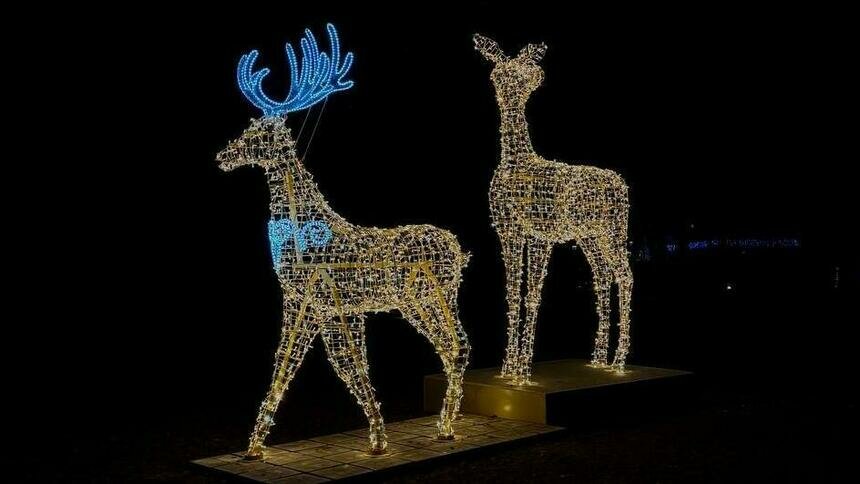 В Зеленоградске появились светящиеся олени высотой 4,5 м - Новости Калининграда | Фото: пресс-служба администрации Зеленоградска