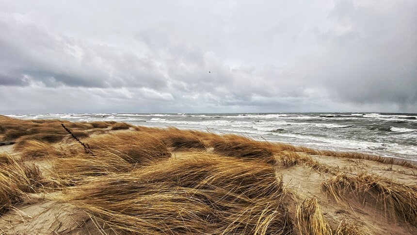 В последние выходные декабря калининградцев ждёт штормовой ветер - Новости Калининграда | Фото: Александр Подгорчук / Архив «Клопс»