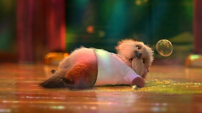 «Три богатыря», «Чебурашка» и китайская сказка: что смотреть в кино на новогодних каникулах  - Новости Калининграда | Кадр из фильма «Океан чудес»