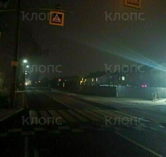 Безрадостные ёлки, энергетическая замкнутость и прокуроры на переходах: cобытия недели, которые обсуждали в Калининграде   - Новости Калининграда | Фото: очевидцы