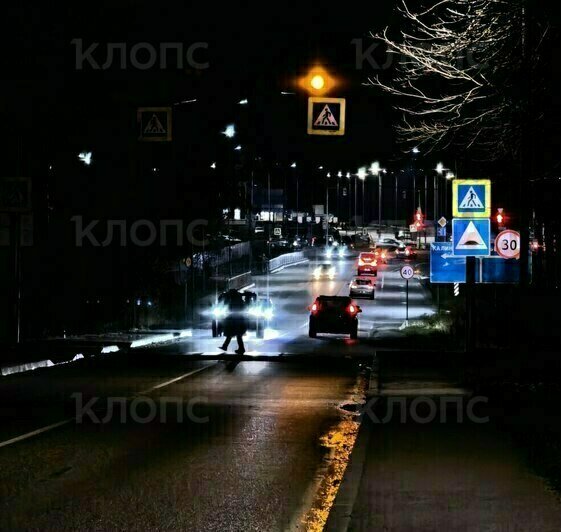 Безрадостные ёлки, энергетическая замкнутость и прокуроры на переходах: cобытия недели, которые обсуждали в Калининграде   - Новости Калининграда | Фото: очевидцы