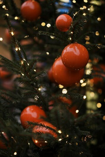 Истории горожан и зимние традиции Кранца: в Зеленоградске проведут аудиоэкскурсии по Курортному проспекту - Новости Калининграда | Фото предоставлены организаторами