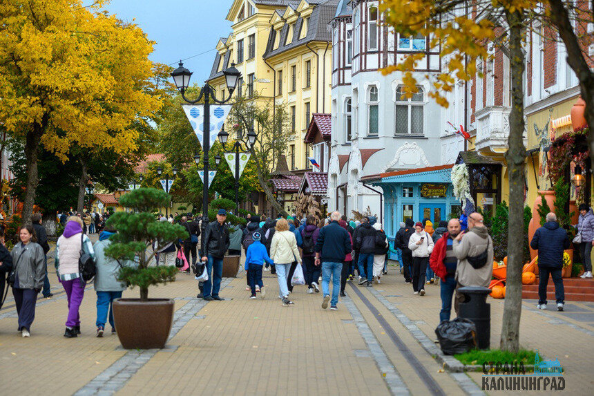 Зеленоградск стал третьим по сборам от туристического налога | Фото: Александр Мелехов