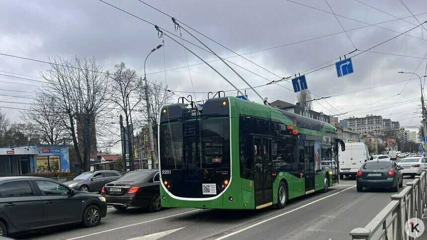 «Всех троллейбусов замену посулили непременно!»: музыкальный дайджест калининградских новостей за неделю (видео)   - Новости Калининграда | Фото: «Клопс»