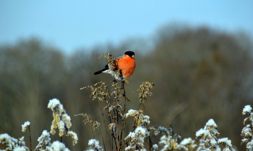 В Калининграде фотографы и художники сообща подготовили необычную зимнюю выставку (фото) - Новости Калининграда | Фото: Наталья Фомина
