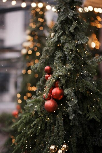 Истории горожан и зимние традиции Кранца: в Зеленоградске проведут аудиоэкскурсии по Курортному проспекту - Новости Калининграда | Фото предоставлены организаторами