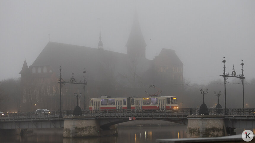 В мэрии назвали точную дату запуска трамвая №5 до Бассейной и анонсировали изменение маршрута автобуса №18 - Новости Калининграда | Фото: Александр Подгорчук / Архив «Клопс»