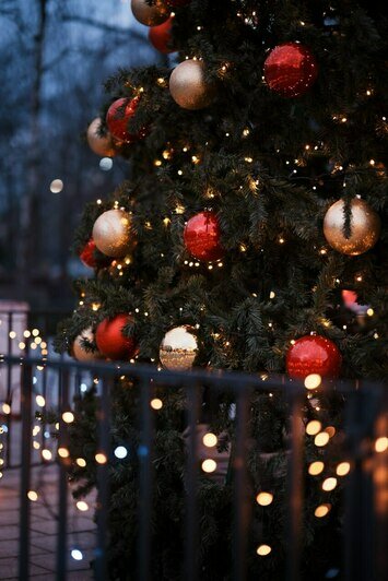 Истории горожан и зимние традиции Кранца: в Зеленоградске проведут аудиоэкскурсии по Курортному проспекту - Новости Калининграда | Фото предоставлены организаторами