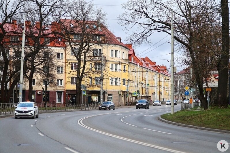 Аварии с пешеходами на Горького и Советском проспекте в Калининграде схожи: что говорят эксперты - Новости Калининграда | Фото: Александр Подгорчук / «Клопс»