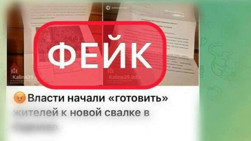 Минприроды Калининградской области предупреждает о распространении в интернете фейковой информации - Новости Калининграда | Фото: Минприроды
