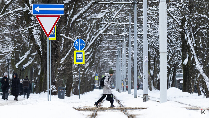 Заряды крупы и мокрого снега: погода в Калининграде и области в воскресенье - Новости Калининграда | Фото: Александр Подгорчук / «Клопс»