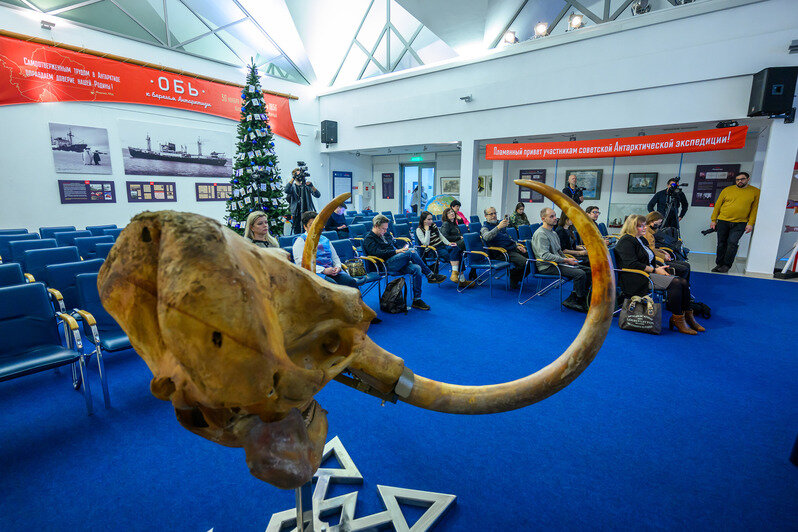 Череп 40-летнего мамонта. | Фото: Александр Мелехов