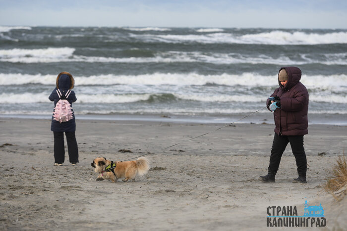 Стихия завораживает: Балтийск во власти шторма (фото)