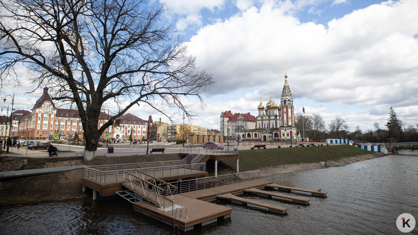 Мост, дорога и орешник: московский блогер Гнилорыбов назвал самые интересные калининградские достопримечательности  - Новости Калининграда | Фото: Александр Подгорчук / Архив «Клопс»