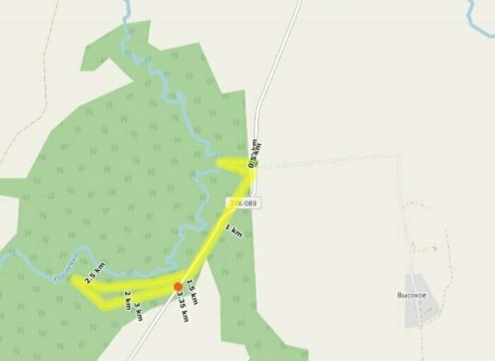 Море, лес и берег бурной реки: где пройти 10 тысяч шагов на новогодних каникулах   - Новости Калининграда