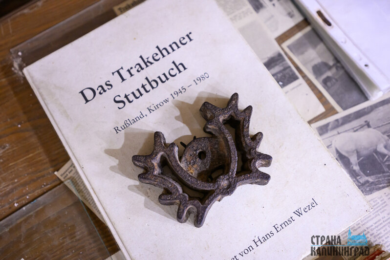 История конезавода началась в 20-х годах ХIХ века с тракененской породы. Музейные экспонаты. | Фото: Александр Мелехов