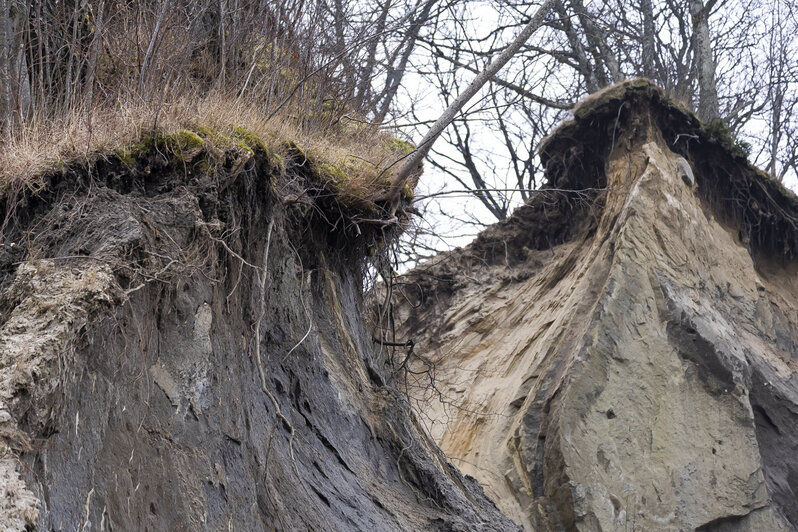 Море, лес и берег бурной реки: где пройти 10 тысяч шагов на новогодних каникулах   - Новости Калининграда | Фото: архив «Клопс»