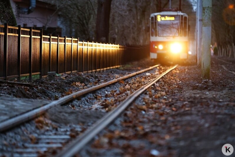 Пока пустой, медленный и с курящей бригадой: в Калининграде вернулся на прежний маршрут трамвай №5 (фоторепортаж) - Новости Калининграда | Фото: Александр Подгорчук / «Клопс»