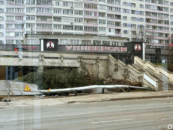 Снежный Новый год в Калининграде и последствия урагана: 6 событий, которые обсуждали в выходные   - Новости Калининграда | Фото: Александр Подгорчук / «Клопс»