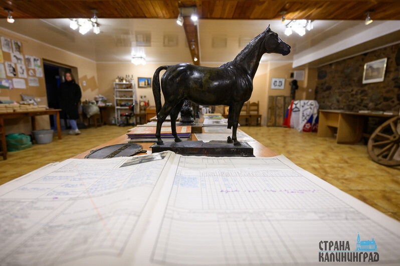 История конезавода началась в 20-х годах ХIХ века с тракененской породы. Музейные экспонаты. | Фото: Александр Мелехов