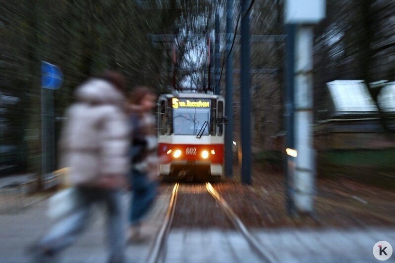 Пока пустой, медленный и с курящей бригадой: в Калининграде вернулся на прежний маршрут трамвай №5 (фоторепортаж) - Новости Калининграда | Фото: Александр Подгорчук / «Клопс»