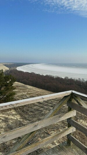 Просто лес или чудо природы: почему Куршская коса разочаровывает одних и влюбляет в себя других (фото)                                                                                              - Новости Калининграда | Фото: из архива Ксении Гончаровой