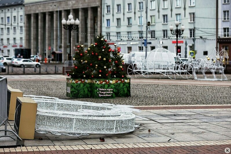 Снежный Новый год в Калининграде и последствия урагана: 6 событий, которые обсуждали в выходные   - Новости Калининграда | Фото: Александр Подгорчук / «Клопс»