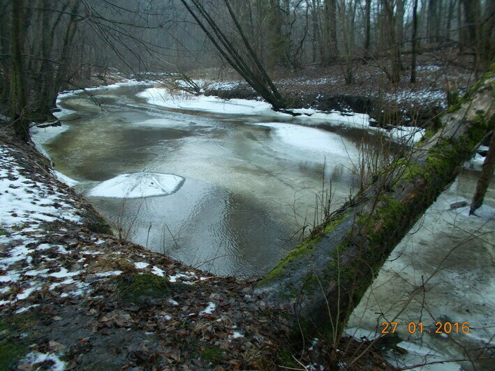 Море, лес и берег бурной реки: где пройти 10 тысяч шагов на новогодних каникулах   - Новости Калининграда | Фото: Дмитрий