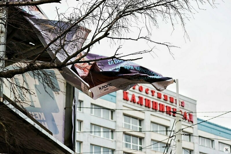 Снежный Новый год в Калининграде и последствия урагана: 6 событий, которые обсуждали в выходные   - Новости Калининграда | Фото: Александр Подгорчук / «Клопс»