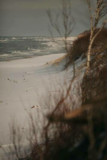 Просто лес или чудо природы: почему Куршская коса разочаровывает одних и влюбляет в себя других (фото)                                                                                              - Новости Калининграда | Фото: из архива Ксении Гончаровой