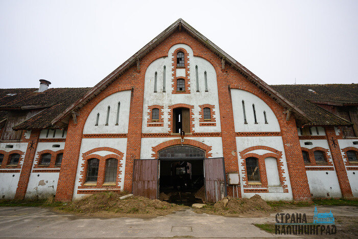 Конный завод «Георгенбург» расположен на окраине Черняховска, в посёлке Маевка (Георгенбург), в 80 километрах восточнее Калининграда. | Фото: Александр Мелехов