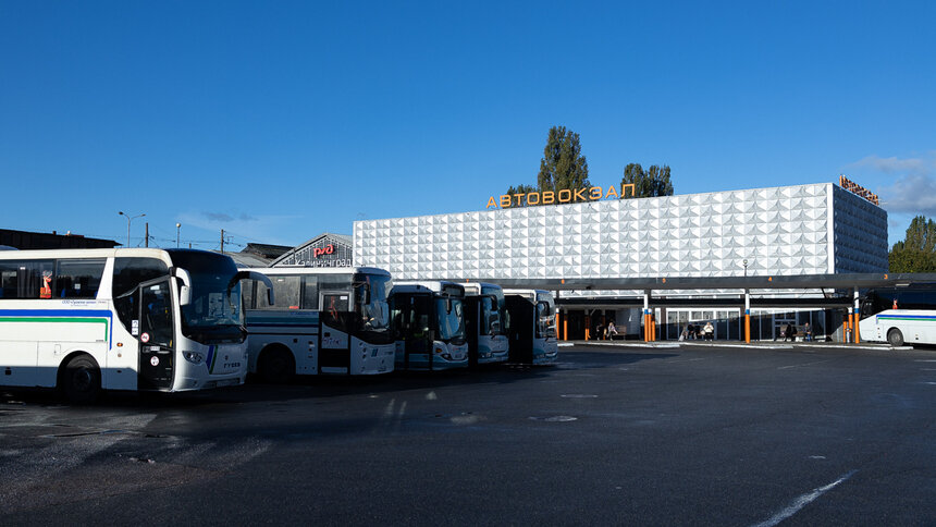 На новогодние праздники в Калининградской области не будут ходить 15 междугородних автобусов: список отменённых рейсов - Новости Калининграда | Фото: Александр Подгорчук / Архив «Клопс»