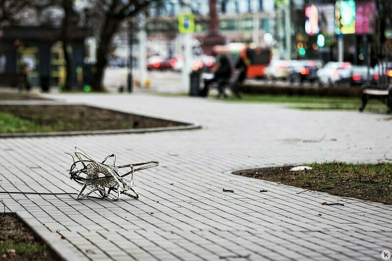 Снежный Новый год в Калининграде и последствия урагана: 6 событий, которые обсуждали в выходные   - Новости Калининграда | Фото: Александр Подгорчук / «Клопс»