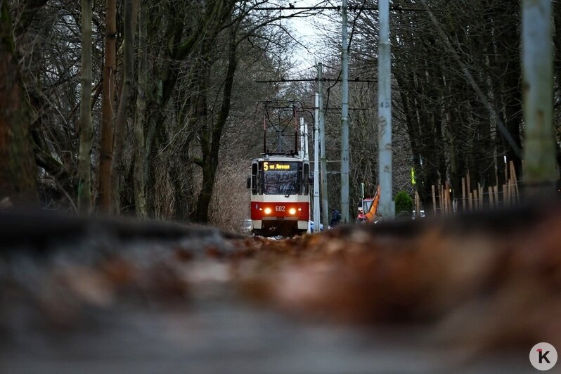 Пока пустой, медленный и с курящей бригадой: в Калининграде вернулся на прежний маршрут трамвай №5 (фоторепортаж) - Новости Калининграда | Фото: Александр Подгорчук / «Клопс»