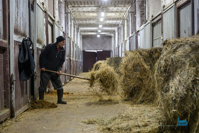 Когда ты предан лошади, она становится преданной тебе  | Фото: Александр Мелехов