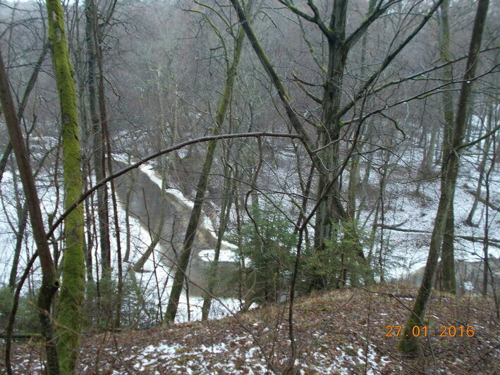 Море, лес и берег бурной реки: где пройти 10 тысяч шагов на новогодних каникулах   - Новости Калининграда | Фото: Дмитрий
